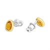 Skagen SKJ1739710 Sofie Sea Glass Honey Stud Earrings - A7156 Alternative Image