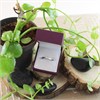 Platinum Diamond Solitaire Ring - 1/4ct - AGI Certificated - D08112 Alternative Image