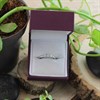 Platinum Diamond Trilogy Ring - 1/3ct - AGI Certificated - D08128 Alternative Image