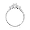 Platinum Diamond Trilogy Ring - 3/4ct - AGI Certificated - D08141 Alternative Image