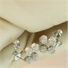 9ct White Gold Diamond Double Cluster Drop Earrings, 1/4ct/pr - D5555 Alternative Image