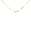 9ct Gold Diamond Daisy Cluster Necklace - 70pts - D56127 Alternative Image