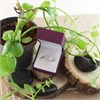 9ct Gold Diamond Band Ring - 1/3ct - D5814 Alternative Image