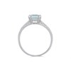 9ct White Gold Aquamarine And Diamond Ring - 7pts - D63160 Alternative Image