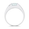 9ct White Gold Aquamarine And Diamond Ring - D63201 Alternative Image
