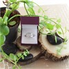 9ct White Gold 1 Carat Diamond Band Ring - D66107 Alternative Image