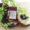 9ct White Gold Diamond Band Ring - 1/2ct - D66108 Alternative Image