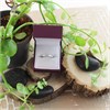 9ct White Gold Diamond Band Ring - 1/2ct - D66117 Alternative Image
