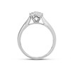 9ct White Gold Diamond Starburst Cluster Ring - 1/3ct - D66118 Alternative Image