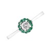 9ct White Gold Emerald And Diamond Cluster Ring - 20pts - D6674 Alternative Image