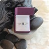 9ct Gold Sapphire And Diamond Cluster Ring - 7pts - D6718 Alternative Image