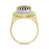 9ct Gold Sapphire And Diamond Cluster Ring - D67202 Alternative Image