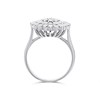 9ct White Gold 1 Carat Diamond Cluster Ring - D7107 Alternative Image