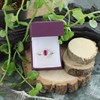 9ct Gold Ruby And 1 Carat Diamond Cluster Ring - D7425 Alternative Image