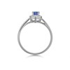 9ct White Gold Tanzanite And Diamond Cluster Ring - D79244 Alternative Image