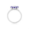 9ct White Gold Diamond And Tanzanite Flower Ring - 9pts - D7950 Alternative Image