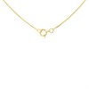 9ct Gold Ruby And Diamond Cluster Necklace - 55pts - D95145 Alternative Image