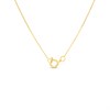 9ct Gold Diamond Cluster Necklace, 1/4ct - D95225 Alternative Image