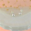 Silver Ball Stud Earrings - 5mm - F0299 Alternative Image