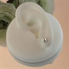 Silver Ball Stud Earrings - 5mm - F0299 Alternative Image