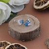 Silver Blue Cubic Zirconia Stud Earrings - F04159 Alternative Image