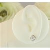Silver Cubic Zirconia Clover Earrings - F04201 Alternative Image