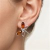Silver Amber Dragonfly Stud Earrings - F04245 Alternative Image