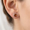Silver Amber Round Stud Earrings - F04246 Alternative Image