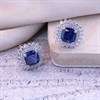 Silver Blue CZ And Clear CZ Cushion Stud Earrings - F04255 Alternative Image