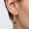 Silver Amber Twist Teardrop Drop Earrings - F0721 Alternative Image