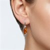 Silver Amber Drop Earrings - F1238 Alternative Image
