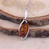 Silver Amber Necklace - F33112 Alternative Image