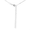 Silver Cubic Zirconia Graduated Halo Necklace - F35150 Alternative Image