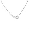 Silver Hammered Disc Chain Necklace - F35165 Alternative Image