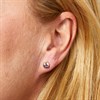 Fiorelli E6449M Silver Gold Plated Amethyst Round Stud Earrings - F66236 Alternative Image