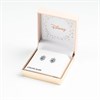 Disney Princess Sterling Silver Earrings - F67124 Alternative Image