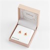 Disney Sterling Silver Winnie The Pooh Gold Plated Earrings - F67134 Alternative Image