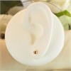 9ct Rose Gold Plain 4mm Ball Stud Earrings - G01112 Alternative Image