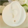 9ct Gold Daisy Stud Earrings - 5mm - G0168 Alternative Image