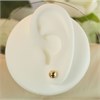 9ct Gold Ball Stud Earrings - 6mm - G0286 Alternative Image
