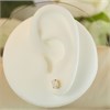 9ct Gold Opal Stud Earrings - 6mm - G04118 Alternative Image
