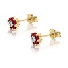 9ct Gold Ruby And Diamond Stud Earrings - G0468 Alternative Image