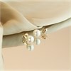 9ct Gold Japanese Akoya Cultured Pearl Stud Earrings - 5-5.5mm - G0477 Alternative Image