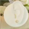 9ct Gold Akoya Cultured Pearl Stud Earrings - 6.5-7mm - G0479 Alternative Image