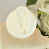 9ct Freshwater Pearl And Diamond Stud Earrings - G0694 Alternative Image