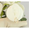 9ct Gold Hoop Earrings - 15mm - G41118 Alternative Image