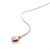Hot Diamonds DP650 Rose Gold Plated Silver Diamond Heart Locket - J0433 Alternative Image