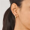 Fossil JF04380710 Sadie Yellow IP Hoop Earrings - J49311 Alternative Image