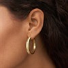 Fossil JF04538710 Gold Tone Hoop Earrings - J49403 Alternative Image