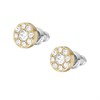 Fossil JF04375710 Stainless Steel Yellow Tone CZ Stud Earrings - J49438 Alternative Image